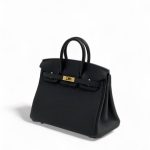 HERMES сумка Birkin 25 см кожа Того черная золото