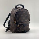LV рюкзак Palm Spring коричневая монограмма маленький